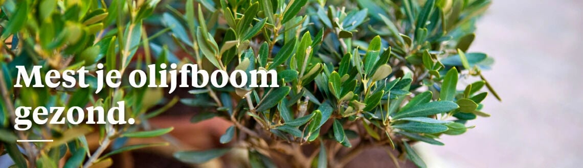 [paste advice page name here]